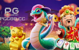 壹号app官网版2024最新版