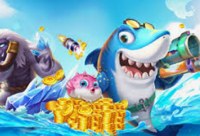 壹号app官网版电脑免费版