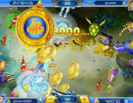 壹号app官网版2024最新版